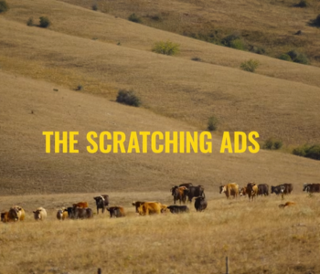 The Scratching Ads